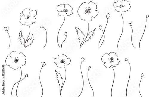 線画。線画タッチのポピーの花のベクターイラスト。