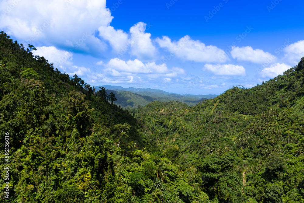 Tropical jungle covered hills against blue sky