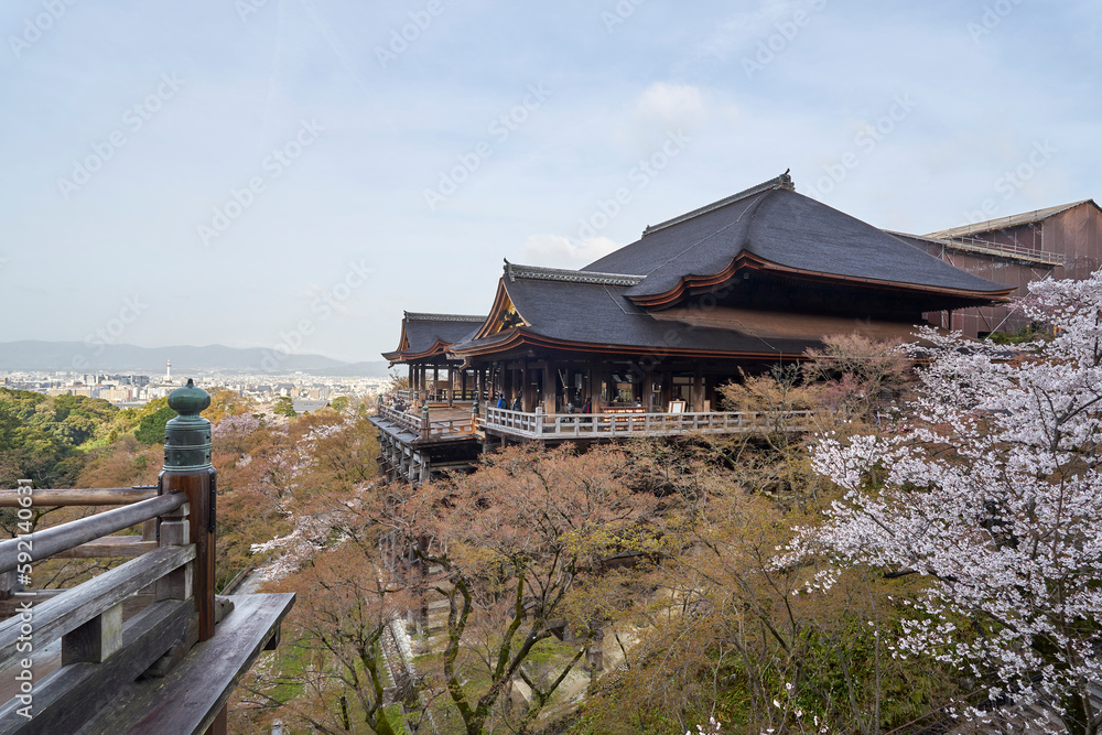 清水寺と桜
