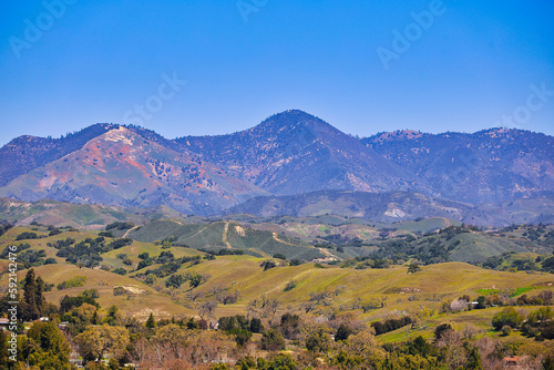 hiking in Santa Ynez in spring with wildflowers and birds