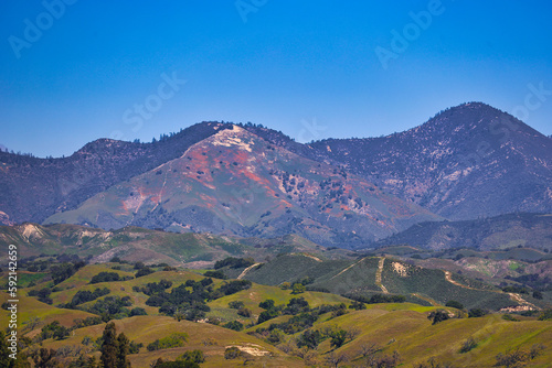 hiking in Santa Ynez in spring with wildflowers and birds