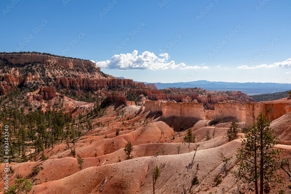 Panoramic Fairyland hiking trail with scenic view on massive hoodoo wall sandstone rock formation in Bryce Canyon National Park, Utah, USA. Pine trees along the way. Unique nature in barren landscape