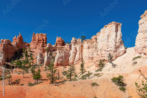 Panoramic Fairyland hiking trail with scenic view on massive hoodoo wall sandstone rock formation in Bryce Canyon National Park  Utah  USA. Pine trees along the way. Unique nature in barren landscape