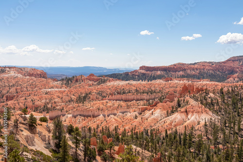 Scenic aerial view of Boat Mesa and massive hoodoo wall sandstone rock formation on Fairyland hiking trail in Bryce Canyon National Park, Utah, USA. Unique nature in barren landscape. Pine tree forest