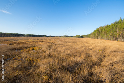 View of the marsh in the autumn