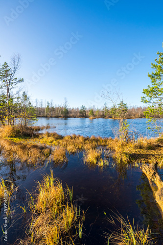 View of the forest lake in the autumn