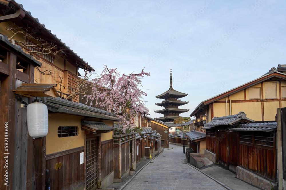 八坂の塔と桜 StockFoto Adobe Stock