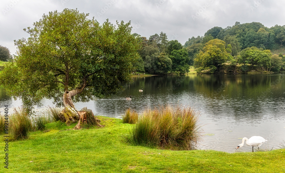 Fototapeta premium Loughrigg Tarn, Cumbria, Lakes District, England