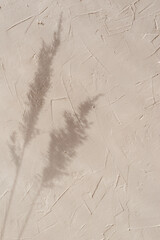 Summer aesthetic minimalist sunlight shadow background with meadow spikelet silhouette on tan beige textured wall, elegant bohemian wallpaper, wedding design template