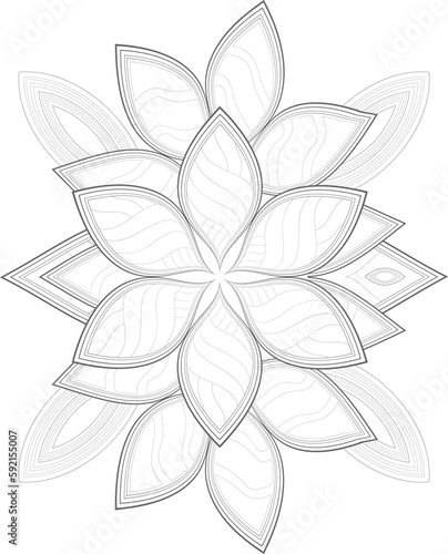 Decorative Doodle flowers in black and white for coloring book, cover or background. Hand drawn sketch for adult anti stress coloring page.-vector