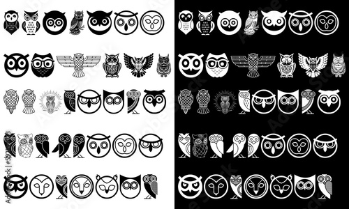 set symbol bird owl icon modern logo