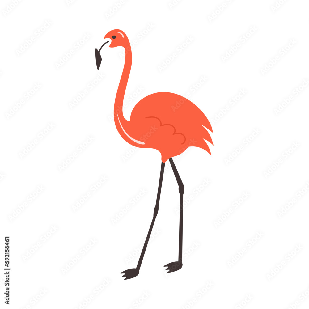 One Flamingo standing isolated on white background. Exotic tropical bird with bright pink plumage. Flat vector abstract illustration