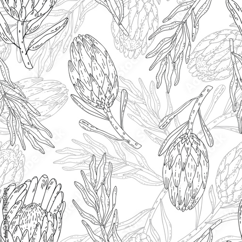Hand drawn seamless pattern line art flowers protea. 