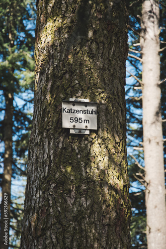 Vertical shot of a tree trunk with a grown-in signboard in Blackwood forest near Staufen, Breisgau, Germany, © codebude