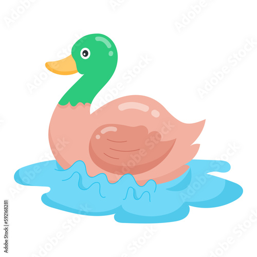 Duck 