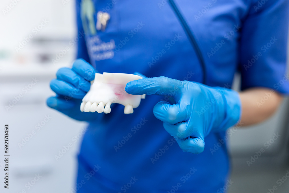 Crop unrecognizable female dentist in uniform and latex gloves holding dental plaster model in light modern clinic Crop unrecognizable female dentist in uniform and latex gloves holding dental plaster model in light modern clinic