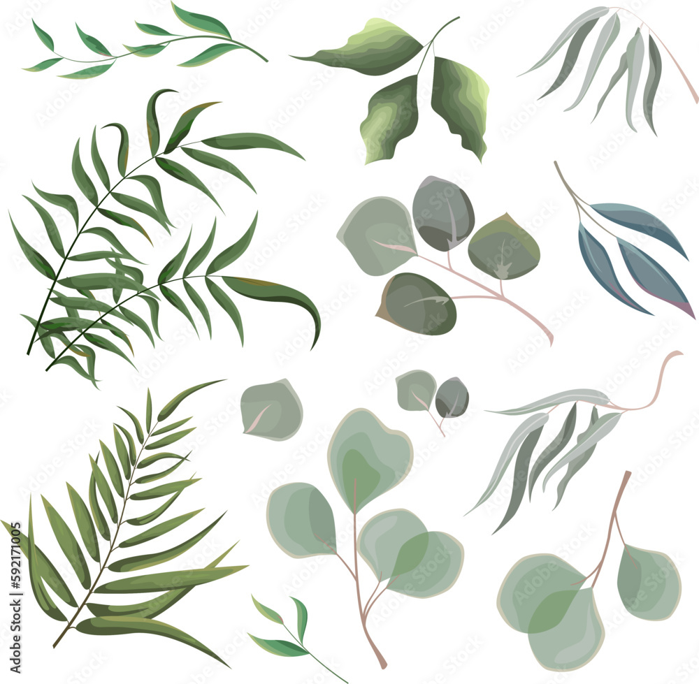 Mix of herbs and plants vector big collection. Juicy eucalyptus, green plants and leaves. All elements are isolated Mix of herbs and plants vector big collection. Juicy eucalyptus, green plants and leaves. All elements are isolated