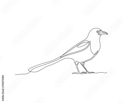 abstract Magpie Bird Continuous One Line Drawing