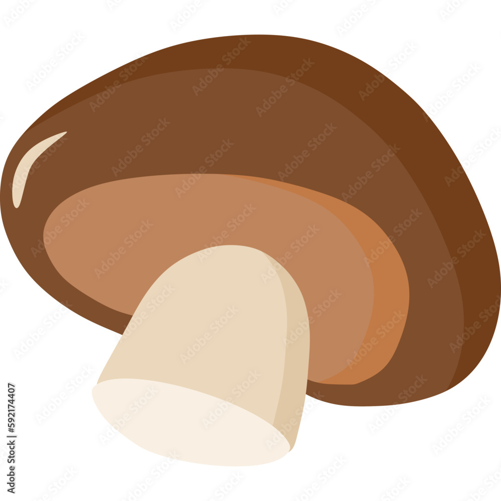 Mushroom Illustration Mushroom Illustration