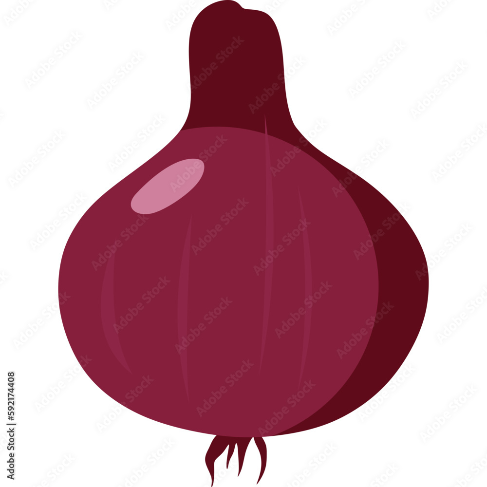 Red Onion Illustration Red Onion Illustration
