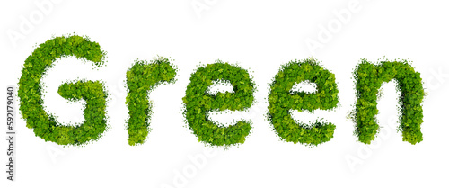 word Green made of green grass and flowers isolated on transparent background