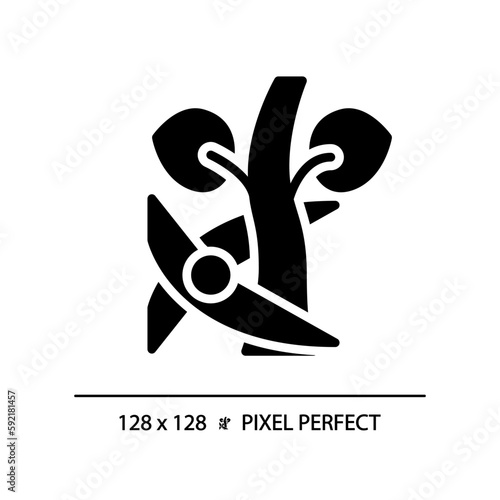 Pruning black glyph icon. Removing unnecessary branches. Tree trimming. Plant growth. Garden shear. Farming tool. Silhouette symbol on white space. Solid pictogram. Vector isolated illustration