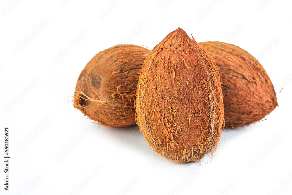 Pair of Fresh Coconuts Placed Together Isolated Over Pure White Background. Pair of Fresh Coconuts Placed Together Isolated Over Pure White Background.