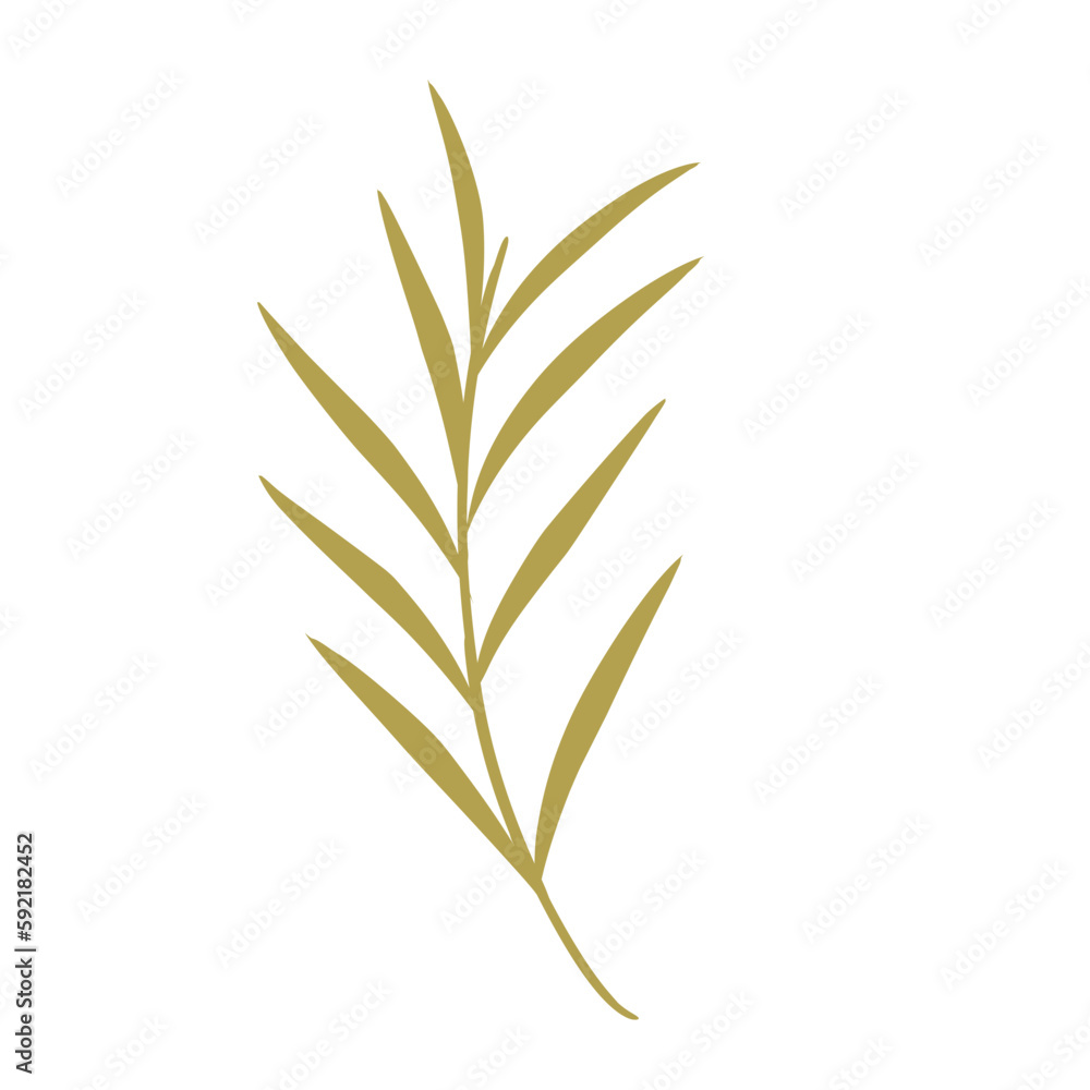 Naklejka premium Branch Leaves Illustration 
