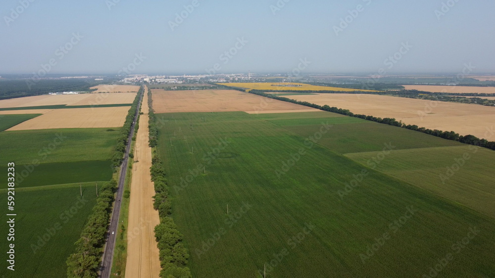 Beautiful panoramic view of many agricultural fields with different agricultural green plants and ripe yellow wheat, road with moving cars and city on summer day. Aerial drone. Agrarian crop landscape