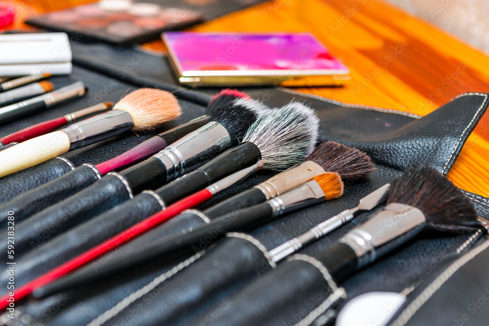 Fototapeta premium Line of Variety of Professional Makeup Tools and Brushes With Eye shadows Placed as Make-up Products Set