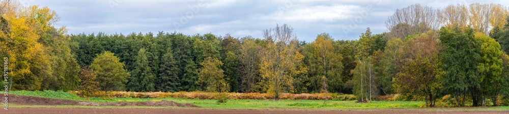 ENS à proximité d’Ingersheim, espace combinant des champs cultivés et des zones forestières. CeA, Alsace, Grand Est, France