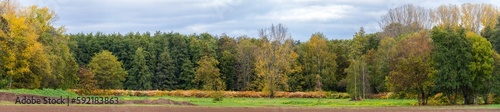 Fototapeta Naklejka Na Ścianę i Meble -  ENS à proximité d’Ingersheim, espace combinant des champs cultivés et des zones forestières. CeA, Alsace, Grand Est, France