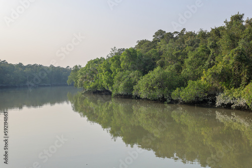 Photography A canal in Sundarbans