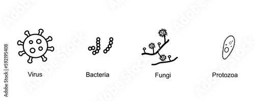 The classification of microorganism that Picture shows 4 types of Virus, Bacteria, Fungi, Protozoa in the concept of black icon.