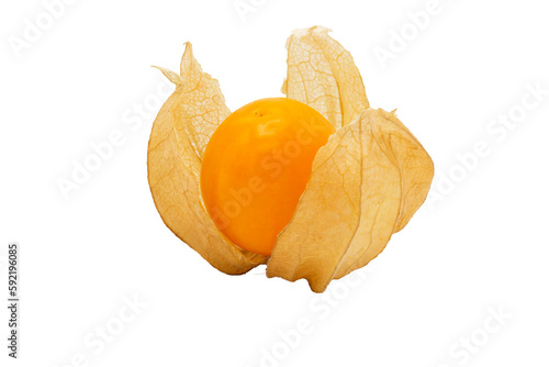 Closeup of Cape gooseberry, physalis with isolated on transparent background, clipping path, PNG