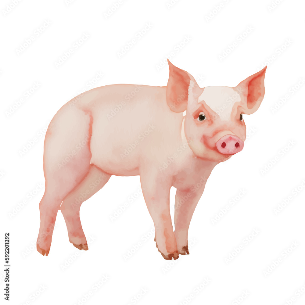 pig with style hand drawn digital painting illustration pig with style hand drawn digital painting illustration