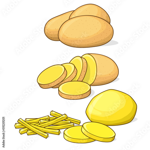 Potatoes and sliced ​​potatoes vector illustration