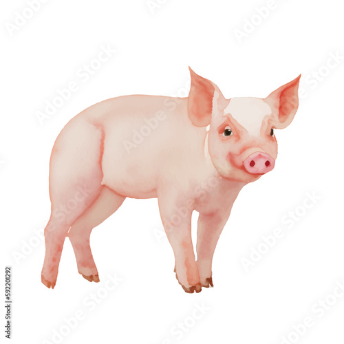 pig with style hand drawn digital painting illustration