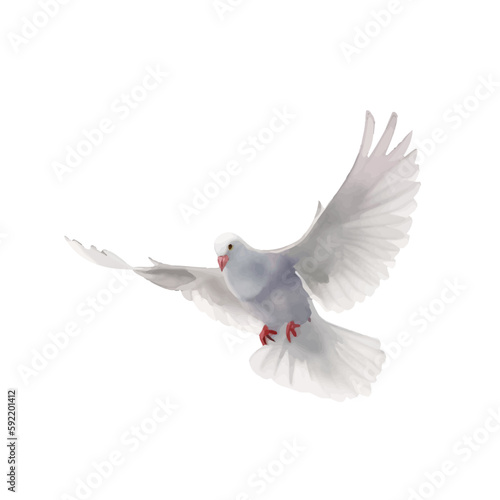 pigeon with style hand drawn digital painting illustration