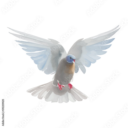 pigeon with style hand drawn digital painting illustration