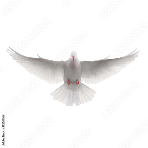 pigeon with style hand drawn digital painting illustration