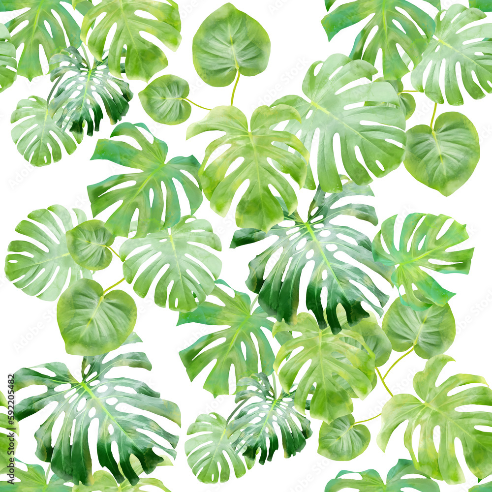 Green tropical monstera leaves seamless pattern 
