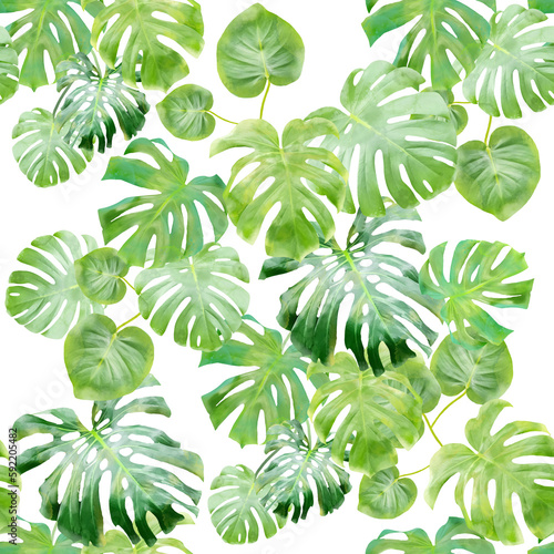 Green tropical monstera leaves seamless pattern  