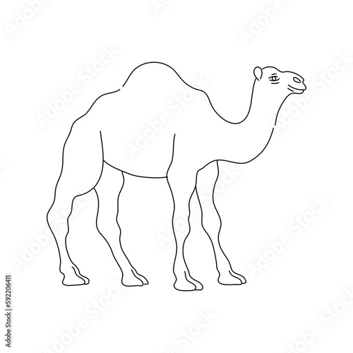 Outline camel icon. Hand drawn vector illustration.