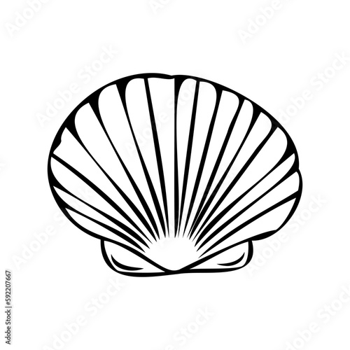 Vector isolated illustration of a shell.