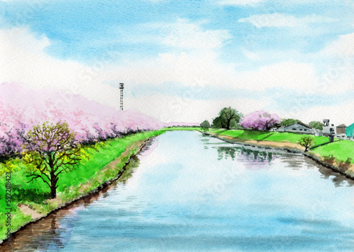 アナログ水彩風景画土手の桜並木と川