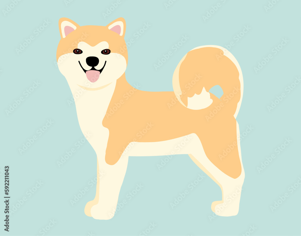 Illustration of a Japanese Akita Inu dog