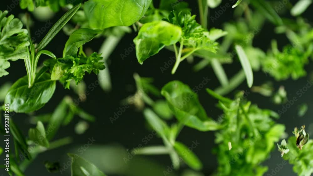 Super slow motion of rotating fresh herbs on black background. Ultimate perspective and motion. Filmed on high speed cinema camera, 1000 fps. Camera placed on high speed cine bot, following the target Super slow motion of rotating fresh herbs on black background. Ultimate perspective and motion. Filmed on high speed cinema camera, 1000 fps. Camera placed on high speed cine bot, following the target
