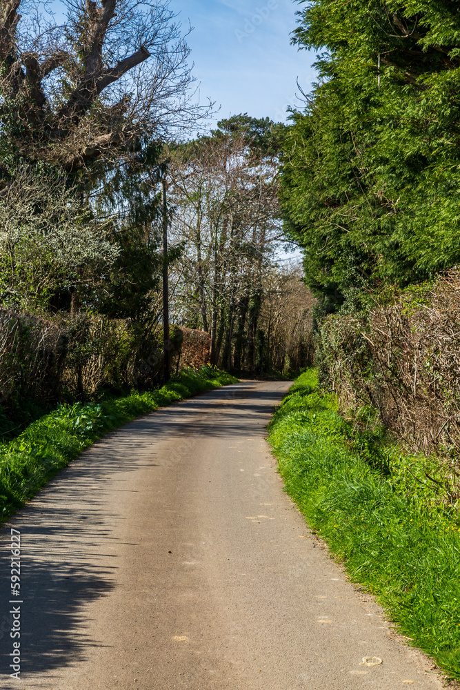 A road in the Sussex countryside in springtime