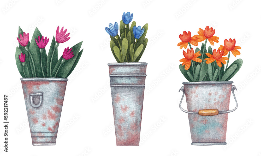A set with different bouquets of flowers in metal buckets. Watercolor illustration. Nature. Natural. Plants. Blossom. Narcissists. Handmade work. Art. Design. Bright. Garden. Spring and summer.